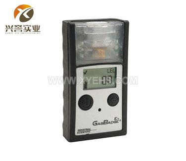 GB90 (Ex) 單一可燃?xì)怏w檢測(cè)儀